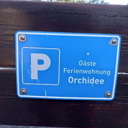 Ferienwohnung Orchidee Bad Muenstereifel Exteriör bild