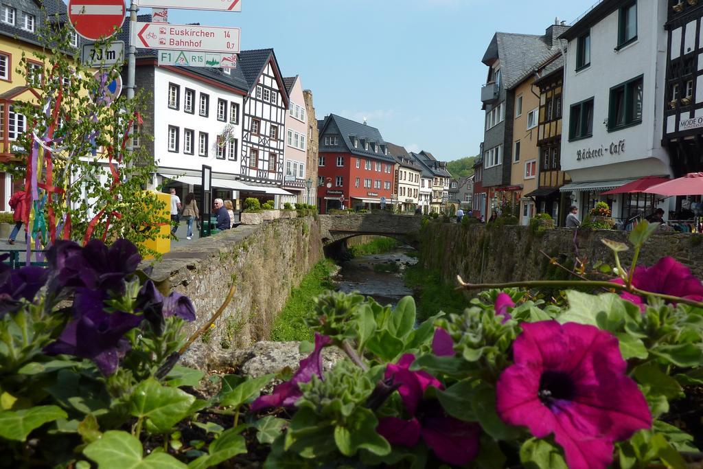 Ferienwohnung Orchidee Bad Muenstereifel Rum bild
